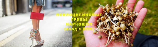 спайс Касимов
