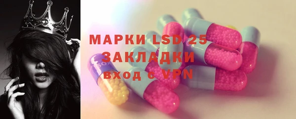спайс Касимов