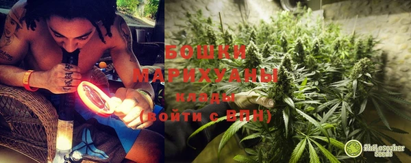 спайс Касимов