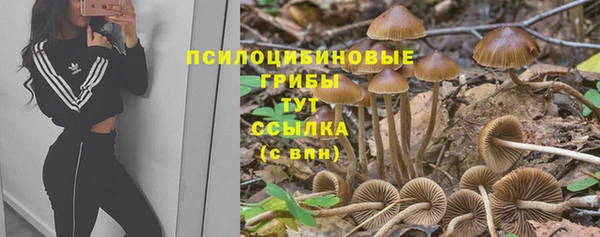 Альфа ПВП Карпинск