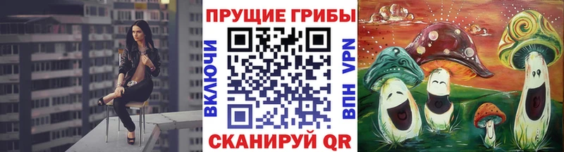 Галлюциногенные грибы Psilocybine cubensis  Купить закладки  Сафоново 